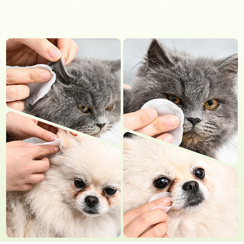 🐱🐶 Φυσικά μαντηλάκια καθαρισμού με φυτικά συστατικά για τα μάτια και τα αυτιά των κατοικίδιων ζώων